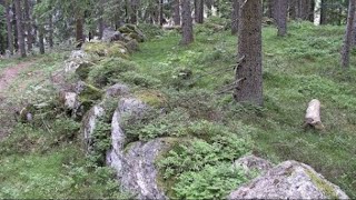 Mystische Steinkreise und Kammern im Schwarzwald! (Schalenstein Fund)