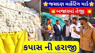 🔴 કપાસ ના ભાવ આજના || live cotton trading price today in jasdan APMC, kapas,January 6, 2025