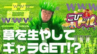 草を生やしてギャラGET!?【こびドル#102】