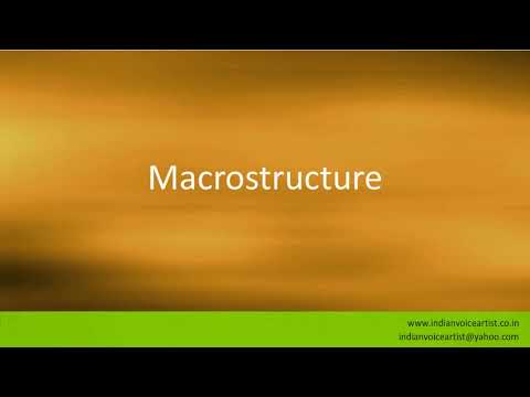 What does the word Macrostructure mean?