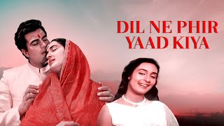Dil Ne Phir Yaad Kiya (1996) Hindi Full Movie | Hindi Romantic Drama |Nutan, Dharmendra, Rehman Khan