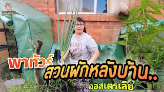 ผักสวนครัว รั้วกินได้ | บ้านแม่ครูอรุณ  #คนไทยในออสเตรเลีย  [ #ลุงหมีมีหนวด พาลุย ]