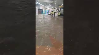 Auckland Airport cancels flights in and out as concourse flooded amid Tāmaki Makaurau downpour.
