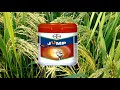 bayer jump insecticide full details in telugu bayer jump insecticide by hmr telugu agriculture