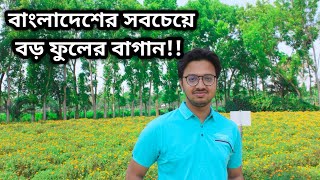 ফুলের রাজধানী গদখালী,যশোর/দেশের বৃহত্তম ফুল বাগান