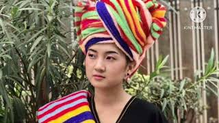 paO song နင်းဗိုလ်ဖျူး /ယွိုက်ယက် (by.zayyaoffice)