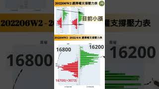 [202206W2]2022/06/06選擇權支撐壓力表