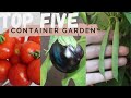 Best Vegetables to Grow in Containers | Top 5 for Container Garden