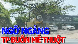 Không thấy TE TUA THÊ THẢM như hòn ngọc sài gòn - ngập tràn cây xanh ĐƯỜNG RỘNG NHÀ TO BUÔN MÊ THUỘT