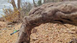 hiking the creek and mudlick trail (Sam A Baker)