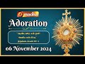 🔴 LIVE 06 November 2024 Adoration 11:00 AM | Madha TV