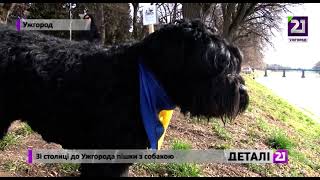 Зі столиці до Ужгорода пішки з собакою