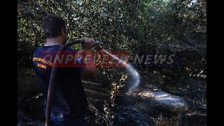 Φωτιά Βρυσούλα: Ολονύχτιες περιπολίες - Άϋπνοι οι κάτοικοι