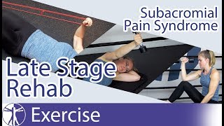 Subacromial Pain Syndrome (SAPS) | Late Phase Eccentric Rehab