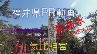 福井県PR動画　ローカルスポット　気比神宮 #17