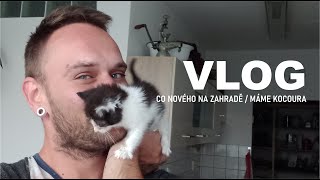 Honzík Lací - Vlog: Co nového na zahradě / máme kocoura