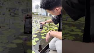 Master the Art of Viral Water Transition with InShot