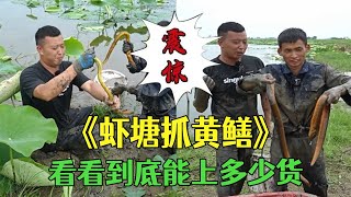 花1000包下個龍蝦塘挖鳝魚，看看到底能上多少貨？#三農 #農村生活  #戶外 #小飛哥#抓魚vlog