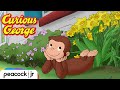 Golden Egg Hunt | CURIOUS GEORGE