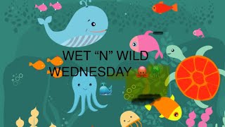 #31 BEAUTIFUL RESINCRETE SHELLS Wet ‘n’ Wild Wednesday @cwv-artistry