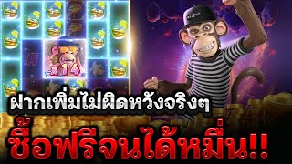 สล็อตPG Wild Ape : สล็อตลิงสุดไวลด์Pg ฝากเพิ่มไม่ผิดหวังจริงๆ ซื้อฟรีจนได้หมื่น!! สล็อตแตกง่ายPG