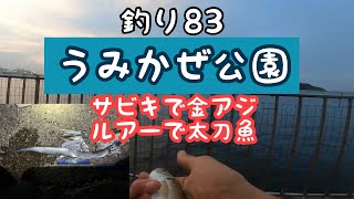 釣り83【うみかぜ公園】サビキでアジ釣り、ルアーでタチウオ【8月上旬】