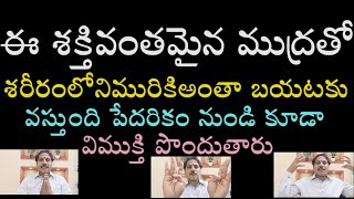 ఈ శక్తివంతమైన ముద్రతో, శరీరంలోని మురికి అంతా బయటకు వస్తుంది  పేదరికం నుండి కూడా విముక్తి పొందుతారు