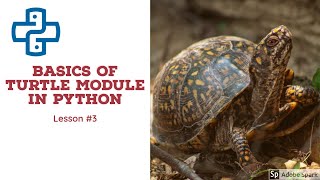 Python Turtle Module for Absolute Beginners | Part #3