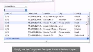 WebCombo - Multiple Column