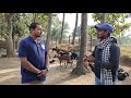 ଛେଳି ଚାଷ କେବେ ଆରମ୍ଭ କରିବେ how to start goat farming in odisha ଛେଳି ପାଳନ ଆରମ୍ଭ କରନ୍ତୁ .