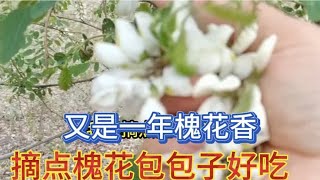 又是一年槐花香。采点儿槐花包包子吃，你们吃过吗？