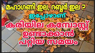 കരിയില കമ്പോസ്റ്റ് ഉണ്ടാക്കാൻ പറ്റിയ സമയം ഇതാണ് | kariyila compost making | compost making