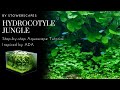 Hydrocotyle Jungle | Step-by-Step Hi-Tech Aquascape Tutorial | Inspired By ADA