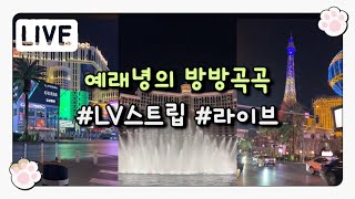 라스베가스 스트립 라이브✌️