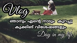 ഞാനും എന്റെ നാടും  കുറച്ചു കുക്കിങ് വിശേഷങ്ങളും/A Day In my Life Malayalam/𝐓𝐫𝐚𝐯𝐞𝐥𝐥𝐢𝐧𝐠/𝐙𝑎𝑖𝑛 𝐖𝑜𝑟𝑙𝑑