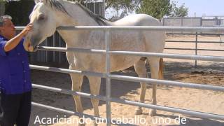 Carlos Memorial Video