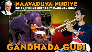 Navaduva Nudiye | Dr Rajkumar Hit Songs | Cover by PajjuBoi