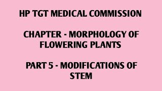 HP TGT MEDICAL COMMISSION # IMPORTANT TOPICS # MODIFICATIONS OF STEM# NEET BIOLOGY