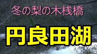 円良田湖　梨の木桟橋　昨夜の冷え込みで厳しいか‥