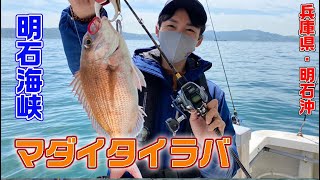 激シブの明石沖でマダイタイラバ【ガッ釣り関西095】