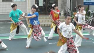 よさこい・そうか連☆草加八幡神社祭り2016