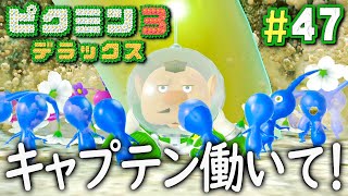 大事な一歩、最初のコンプリートへ！『ピクミン3 デラックス』を実況プレイ part47【果実コンプリート編 #2】