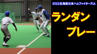 【公式練習】ランダンプレー＜2022北海道日本ハムファイターズJr.＞