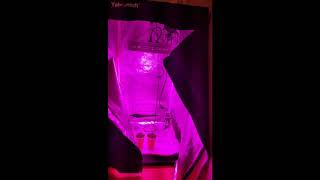 Higrow 600watt led