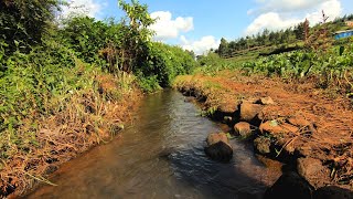 We fell in love with Athi Springs | The Stream | Crayfish