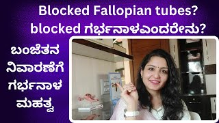 Blocked Fallopian Tubes? Blocked ಗರ್ಭನಾಳಎಂದರೇನು? ಬಂಜೆತನ ನಿವಾರಣೆಗೆ ಗರ್ಭನಾಳ ಮಹತ್ವ