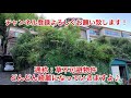 【築42年空家diy】 20 8畳和室の傾き調整と洋室化を最速でやる【草不可避物件】