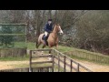 cross country schooling flying ponies and riders haha .