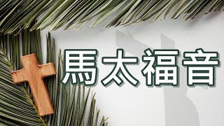 20230314 豐富教會直播 | 馬太福音第2章