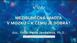 Týden mozku 2022 - Mezibuněčná hmota v mozku – k čemu je dobrá?